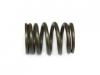 Others SPRING; VLV,OUTER:1-12561051-0