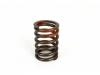 Others SPRING; VLV,OUTER:1-12561075-0
