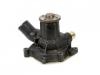 水泵 PUMP ASM; WATER:1-13610817-1