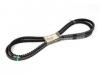 风扇皮带 BELT; COOLING FAN:1-13671314-0