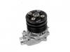 Others PUMP ASM; WATER,W/GASKET:1-87310835-0