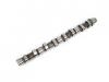CAMSHAFT:8-97077829-0