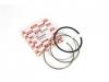 RING SET; PISTON,STANDARD 活塞环[三道]:8-98040125-0